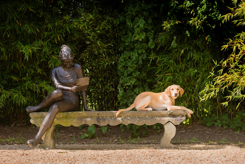 Hotels-for-Pets_Le-Manoir-A-Belmond-Hotel-Oxfordshire